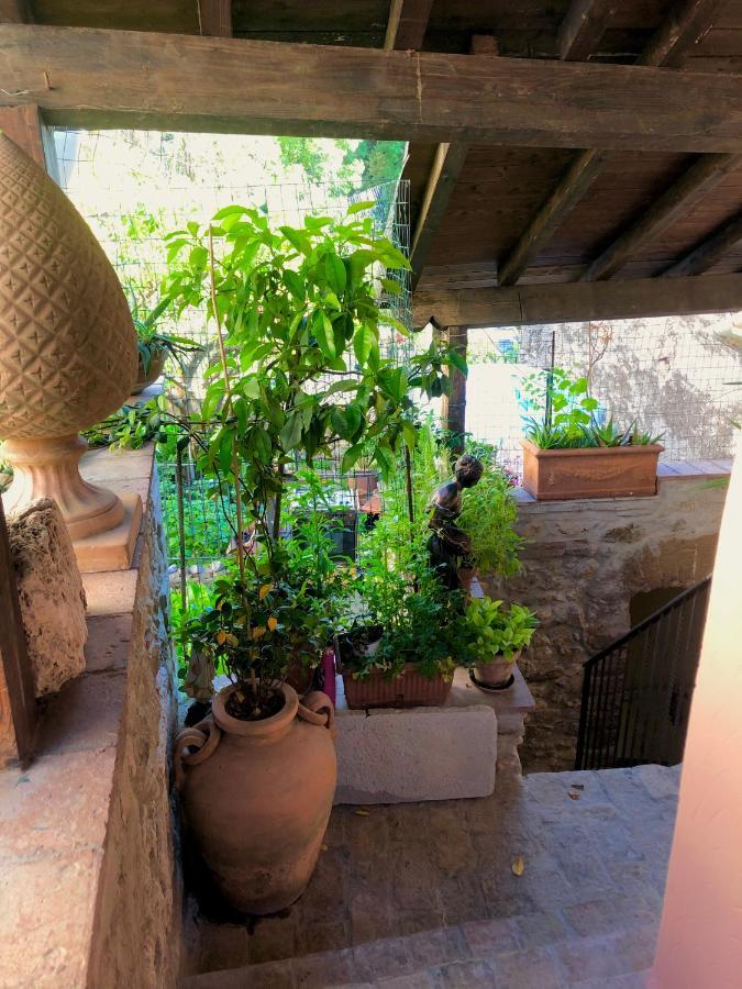 B&B La Fontana Di Pegaso ติโวลี ภายนอก รูปภาพ
